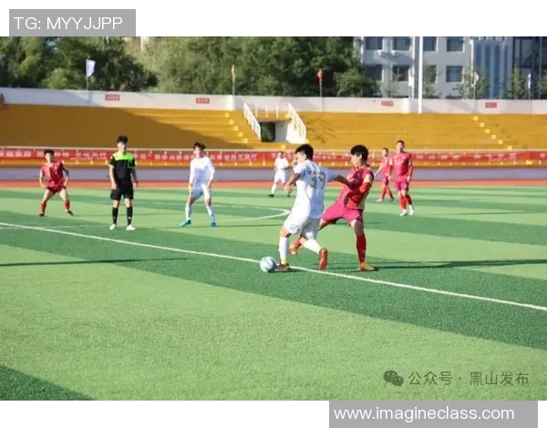 辽服足球崛起之路：从地方球队到全国瞩目的足球力量